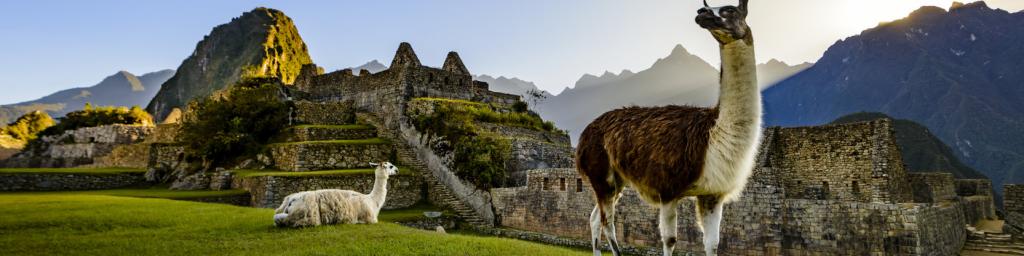 Llama in front of inca ruins